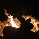 Random November Photos (595754)