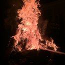 Blue Moon Xmas Party (597763)