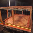 Chicken Shit Bingo and Jenga (597891)