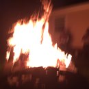 Blue Moon Xmas Party (597815)