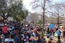 Austin Women's March (601255)