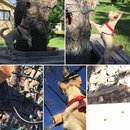 Random Baxter and Lolly Pictures (606362)