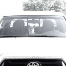 Random Baxter and Lolly Pictures (606385)