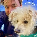 XMas and New Years with Dev (606531)