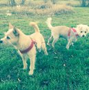 Random Pics Around Broadmoor (606552)