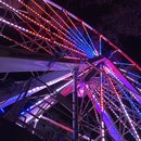 XMas and New Years with Dev (606516)