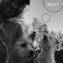 XMas and New Years with Dev (606522)