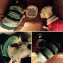 XMas and New Years with Dev (606614)