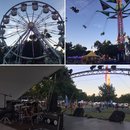 Kyloe Blue at MayFest (606450)