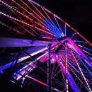 XMas and New Years with Dev (606632)