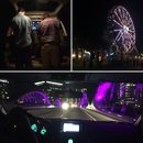 Kyloe Blue at MayFest (606430)