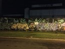 Mural Project Shots (609346)