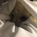 New Orleans and Devin's Birthday (609543)