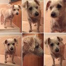 Random Baxter and Lolly Pictures (609576)