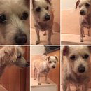 Random Baxter and Lolly Pictures (609852)