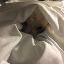 New Orleans and Devin's Birthday (609643)