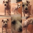 Random Baxter and Lolly Pictures (609641)