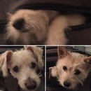 New Orleans and Devin's Birthday (609677)