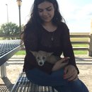 Picking up Atti (609968)