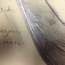 A Month of Doodles (610094)