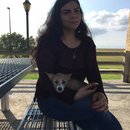 Picking up Atti (610134)