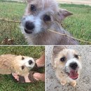 Atti at Home (610133)