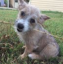 Picking up Atti (610006)