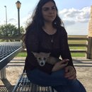 Picking up Atti (610095)