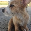 Atti at Home (610271)