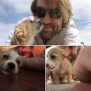 Atti at Home (610263)