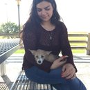 Picking up Atti (610457)