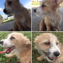 Atti at Home (610443)