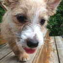 Week 2 with Atti (618054)