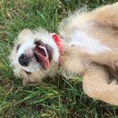 Week 2 with Atti (618026)