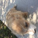 Week 2 with Atti (618058)