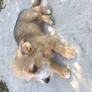 Week 2 with Atti (618034)