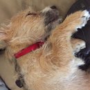 Week 2 with Atti (618039)