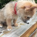 Week 2 with Atti (618067)