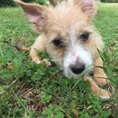 Week 2 with Atti (618062)