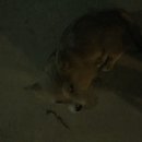 Week 2 with Atti (618048)