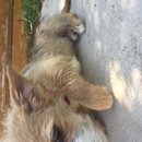 Week 2 with Atti (618032)