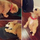 Week 2 with Atti (618052)