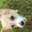 Week 2 with Atti (618037)