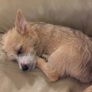 Week 2 with Atti (618063)