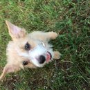 Week 2 with Atti (618057)