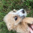 Week 2 with Atti (618041)