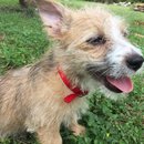 Week 2 with Atti (618033)