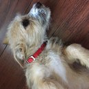 Week 2 with Atti (618064)