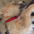 Week 2 with Atti (618060)