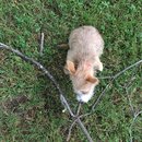 Week 2 with Atti (618068)